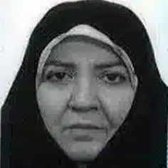 z-mirzazadeh
